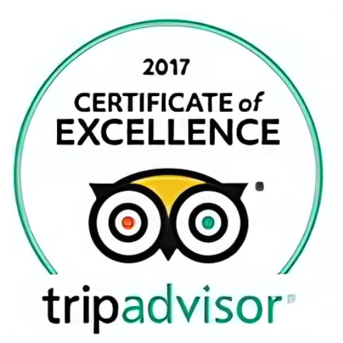 tripadvisor-1.png