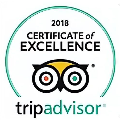 tripadvisor-2.png